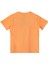 Erkek Çocuk Tshirt BNT-B21361 2
