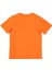 Erkek Çocuk Tshirt BNT-B21367 2