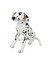 01411 Dalmaçyalı 68 Cm. Peluş 1