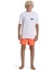 Quıksılver Everyday Surf Tee Ss Youth Erkek Çocuk T-Shirt AQBWR03067-QK.10 4