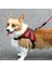 K9 Köpek Ayarlanabilir Göğüs Kemeri, Beden: L (Yurt Dışından) 5