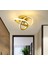 Modern Plafonyer Salon Mutfak Oturma Odası Avize Boomerang LED Avize Eskitme Gold Gün Işığı 4000K 1