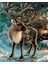 Noel Geyiği Sayılarla Boyama Seti 80X100 cm (Tuvale Gerili) 1