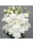 Katmerli Allamonde S.white Lisianthus Çiçeği Fidesi (3 Adet) 2