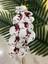 Bordo Beyaz Yapay Islak Orkide Tek Dal 88 cm 1