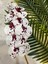 Bordo Beyaz Yapay Islak Orkide Tek Dal 88 cm 3