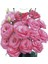 Tohum Bul Katmerli S.clear Pink Lisianthus Çiçeği Fidesi (3 Adet) 2