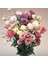 Mix Karışık Renkli Lisianthus Çiçeği Çiçeği Fidesi (10 Adet) 1