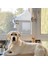 Köpek Kaybı Sempati Hediyesi, Suncatcher Hediyeleri Için Ay'da Vitray Köpek, Evcil Hayvan Kaybı Hediyeleri Için Sarı Köpek Anıt Hediyeleri (Yurt Dışından) 4