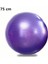 MOR75CM Tarzı Fitness Sporları Yoga Topları Bola Pilates Spor Salonu Denge Topu Egzersiz Egzersizi Spor Salonu Ev Eğitimi Masaj Dengesi Fitball Ekipmanları (Yurt Dışından) 1