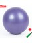 Mor Tarzı 25CM Fitness Yoga Topu Eğitimi Egzersiz Jimnastik Pilates Denge Spor Salonu Ev Eğitmeni Crossfit Çekirdek Topu Anti Stres Topu Fitball (Yurt Dışından) 1
