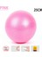 Pembe 25CM Tarzı Pvc Fitness Topu Yoga Topu Kalınlaşmış Patlamaya Dayanıklı Spor Home Gym Pilates Ekipmanları Denge Topu 25CMCMCMCMCM (Yurt Dışından) 1