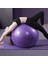 65CM-MOR Tarzı 65CMCMCM Pvc Fitness Topları Kalınlaşmış Patlamaya Dayanıklı Yoga Topları Evde Pilates Topu Egzersizi 45CMCM Yoga Balonu (Yurt Dışından) 3
