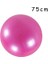 PEMBE-75CM Tarzı Büyük Yoga Topu 75CM Spor Isviçre Topu Yoga Ritmik Jimnastik Topu Gerilim Dayanımı Çevre Koruma 65CM Denge Topu (Yurt Dışından) 1