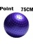 75CM Mor Tarzı Itstyle Spor Yoga Tükenmez Nokta Fitness Salonu Denge Topu Fitball Egzersiz Pilates Egzersiz Dikenli Masaj Topu 55CM 65CM 75CM 85CM (Yurt Dışından) 1