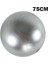 75CM Gri Stil Yoga Topları Pilates Fitness Spor Salonu Denge Fitball Egzersiz Egzersiz Topu (Yurt Dışından) 1