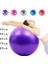45CM Mor Tarzı Pvc Fitness Topları Yoga Topu Kalınlaşmış Patlamaya Dayanıklı Egzersiz Home Gym Pilates Ekipmanları Denge Topu 45CMCMCMCMCM (Yurt Dışından) 2