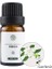 Gardenya Tarzı 10 ml Mumlar Mum Kokusu Doğal Bitki Esansiyel Yağı Lavanta Portakal Çiçeği Gardenya Sandal Ağacı Uçucu Yağlar (Yurt Dışından) 1