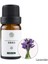 Lavanta Tarzı 10 ml Mumlar Mum Kokusu Doğal Bitki Esansiyel Yağı Lavanta Portakal Çiçeği Gardenya Sandal Ağacı Uçucu Yağlar (Yurt Dışından) 1