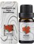 Tarçın Tarzı 10ML Suda Çözünür Bitki Aromaterapi Uçucu Yağ Nemlendirici Araç Aromaterapi Ev Kapalı Hava Spreyi (Yurt Dışından) 5