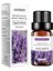 Lavanta Tarzı 10ML Saf Doğal Bitki Difüzör Uçucu Yağlar Brülör Aromalı Uçucu Yağ Okaliptüs Vanilya Nane Lavanta Gül Çay Ağacı Yağı (Yurt Dışından) 1