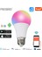 9W Tarzı A19-RGBCW-230V-4PCS Frogbro Tuya Akıllı Ampul E26 E27 LED Rgb Lamba Akıllı Yaşam Uygulaması ile Çalışmak Karartma Akıllı LED Ampul Müzik Ritim ile (Yurt Dışından) 2
