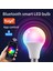 E27 Tuya Akıllı LED Ampul Işık 10 W Bluetooth Uyumlu Lamba E27 Rgbw LED Lamba Renk Değiştirme Lampada Rgb + Cct Dekor Ev Ac (Yurt Dışından) 5
