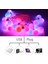 60LED Tarzı Mor DC5V WS2812B Rüya Renkli Rgb LED Yuvarlak Top Dize Işıklar Noel Partisi Doğum Günü Dekorasyon Bireysel Olarak Adreslenebilir IP67 (Yurt Dışından) 4