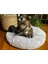 Açık Yeşil Tarzı 50CM Peluş Küçük Köpek Yatağı Köpek Kumu Kittenpuppy Yastık Sakinleştirici Yataklar Yuvarlak Kulübesi Bulldog Mat Pet Köpekler Yatak Pet Ürün Aksesuarları (Yurt Dışından) 4