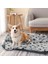 Kırmızı Stil 60X70CM Pet Battaniye Köpek Kedi Yumuşak Polar Battaniye Uyku Mat Pad Yatak Örtüsü Yavru Kedi Yavrusu ve Diğer Küçük Hayvanlar Için Pençe Baskı ile (Yurt Dışından) 5