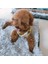 Pembe Tarzı 60X40CM Pet Köpek Mat Kedi Yatak Ev Kabarık Uzun Peluş Pet Battaniyeler Sıcak Uyku Köpek Kulübesi Ped Yastık Köpekler Için Pet Aksesuarları (Yurt Dışından) 4