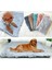 Pembe Tarzı 60X40CM Pet Köpek Mat Kedi Yatak Ev Kabarık Uzun Peluş Pet Battaniyeler Sıcak Uyku Köpek Kulübesi Ped Yastık Köpekler Için Pet Aksesuarları (Yurt Dışından) 5