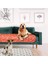 5 Stili Yazın 80X90CM Yıkanabilir Kedi Köpek Pet Bebek Bezi Mat Köpek Için Pet Kedi Yatak Idrar Korumak Bezi Mat Su Geçirmez Yeniden Kullanılabilir Eğitim Pedi Araba Koltuğu Kapakları (Yurt Dışından) 3