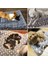 Ayı Tarzı Pembe S 49X32CM Köpek Yatak Mat Pet Battaniye Mat Battaniye Kediler Içinkalınlaştırılmış Pet Polar Ped Yatak Mat Yavru Köpek Kanepe Yastık Uyku Örtüsü (Yurt Dışından) 5