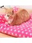 No.1 Tarzı 50X32CM Kış Sıcak Pet Köpek Yumuşak Yastık Büyük Baskı Pazen Pamuklu Yatak Kedi Pet Mat Yatak Pedi Halı Karikatür Baskılı Kedi ve Köpek Pedi (Yurt Dışından) 3