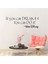 Yeşil Tarzı 57X10CM Büyük Tırnaklar Motive Edici Rüya Ifadeleri Duvar Sticker Eğer Hayal Edebilirsen Yapabilirsin Vinil Çıkartmalar Ev Dekorasyon Aksesuarları (Yurt Dışından) 2