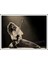 No.8 Tarzı 42X30 Van Halen Posterler. Retro-Rock Grubu Posteri Duvar Kağıdı Ev Dekoratif Ağır Metal Rock Kraft Kağıt Poster Duvar Sticker (Yurt Dışından) 1