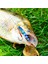 Ben Tarzım 10G 1 Adet Jig Balıkçılık Lures Bas Balıkçılık Yem Ağırlıkları Balık Metal Jigs Tuzlu Su Lures Uzun Atış Isca Yapay Jig Cazibesi (Yurt Dışından) 3