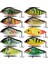 E Tarzı 60MM-15G Fangbait Balıkçılık Pike Yemleri Kaydırıcı Pislik Yalpalama Çıngırak 6 cm Yavaş Batan Yüksek Sesli Jerkbaits Tam Aralıklı Pike Misk Yemi (Yurt Dışından) 5