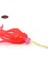 E Tarzı 150G Takedo LG01 Tpr Malzeme 150G - 450G Kalamar Etek Ahtapot Cazibesi Yardımcı Kanca ile Metal Jig Kafa Trolling Lures Tekne Ton Balığı Köpekbalığı (Yurt Dışından) 5