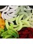 Bej Tarzı Flysand Çantası 2cg Kurtçuk Grub Yumuşak Cazibesi Yemler Yedi Renk Kokusu Solucanlar Glow Karides Balıkçılık Lures Okyanus Nehir Balıkçılık (Yurt Dışından) 2