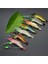 No.2 Tarzı 8 cm 5g Lures Aydınlık Yumuşak Yem Luya Karides Yem Asılı Biyonik Sahte Yem Balıkçılık Yem Silikon Yumuşak Böcek Gece Balıkçılık Sahte Yem (Yurt Dışından) 4