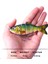 CC21-15 Tarzı Ccltba 6 Eklemli Swimbait Batan Wobblers Balıkçılık Lures Crankbait Pike Için Sert Yapay Yemler Alabalık Bas Olta Takımı Cazibesi (Yurt Dışından) 3