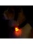 Sarı Stil Pet LED Kolye Güvenlik Yanıp Sönen Glow Işık Yanıp Sönen LED Yaka Kolye Kolye Pet Köpek Yavrusu Için Pet Pet Malzemeleri (Yurt Dışından) 3