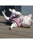 Kırmızı Köpek Tasma Stili M Beden Pembe Unicorn Küçük Köpek Koşum Hiçbir Çekme Köpek Yelek Koşum Orta Küçük Köpekler Için Koşum Tasma Seti Evcil Köpek Fransız Bulldog Pug (Yurt Dışından) 5