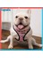 Kırmızı Köpek Tasma Stili S Beden Pembe Unicorn Küçük Köpek Koşum Hiçbir Çekme Köpek Yelek Koşum Orta Küçük Köpekler Için Koşum Tasma Seti Evcil Köpek Fransız Bulldog Pug (Yurt Dışından) 4