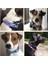 Mavi Stil Xl 45-55CM Boyun Truelove Yumuşak Kayma Köpek Tasması Yansıtıcı Ayarlanabilir P Zincir Eğitimi Küçük Orta Büyük Köpekler Için Köpek Eğitimi Şok Tasmaları (Yurt Dışından) 3