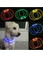 Beyaz Stil USB Şarj LED Köpek Yaka Anti-Lostavoid Köpekler Için Araba Kaza Yaka Köpek Yavruları Köpek Tasması Talepleri LED Malzemeleri Pet Ürünleri Glow (Yurt Dışından) 2