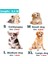 Pur 2.4m Tarzı M Çap 0.8cm Yürüyüş 2 Iki Köpek Bir Tasma Naylon Dolaşmayan Köpek ve Kedi Için Pet Tasma Küçük Orta Büyük Köpekler Için Koşu Pitbull Bulldog Puglar (Yurt Dışından) 3