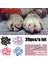 Gül Parıltı Stili L Beden Yeni Moda Renkli Kedi Tırnak Kapakları Yumuşak Kedi Pençesi Yumuşak Pawlot Ücretsiz Yapıştırıcı Tutkal ile Boyut Xs S M Lgift Pet Için (Yurt Dışından) 4